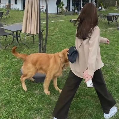 桃源梦里一美人