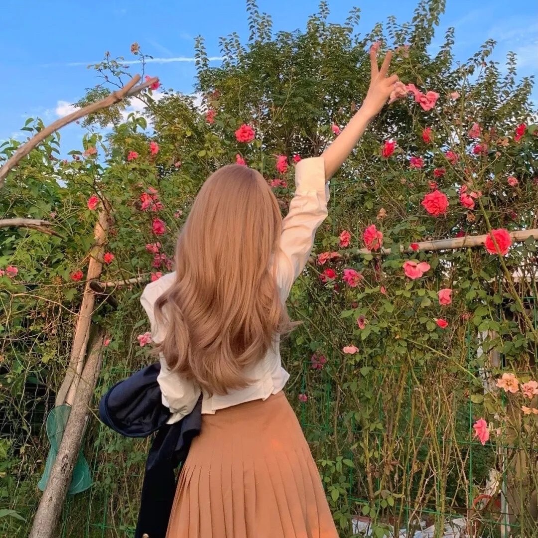 爱探险的朵拉:消失的黄金城